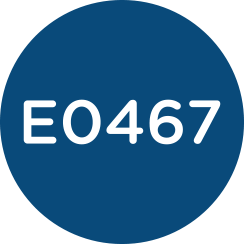 E0467 Icon